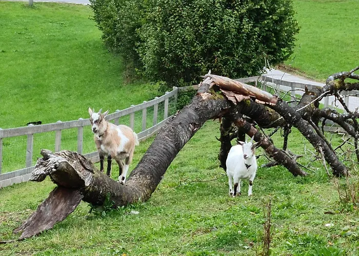 Gut Mitterlehen