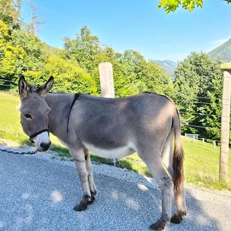 Apartmán Gut Mitterlehen Elsbethen Exteriér fotografie